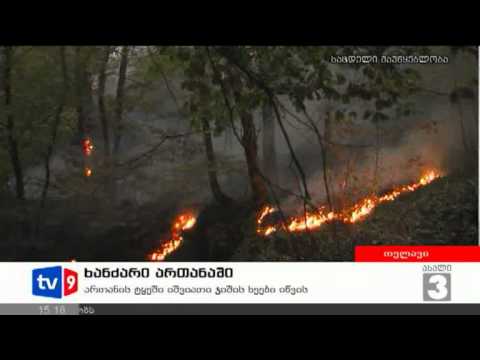 ახალი 3 | ხანძარი ართანაში | 19.08.12